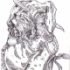 next image
