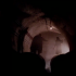 previous image
