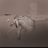 next image