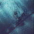 next image