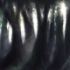 next image