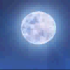 previous image