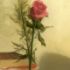 next image