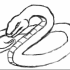 previous image