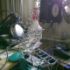 next image