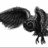 next image
