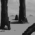 next image