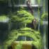 next image