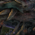 next image