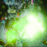 next image