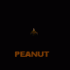 previous image