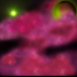 previous image