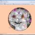 next image