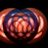 previous image
