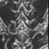 previous image