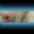 previous image