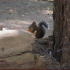 previous image